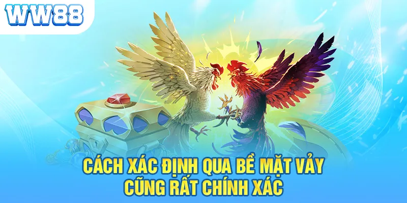 Cách xác định qua bề mặt vảy cũng rất chính xác